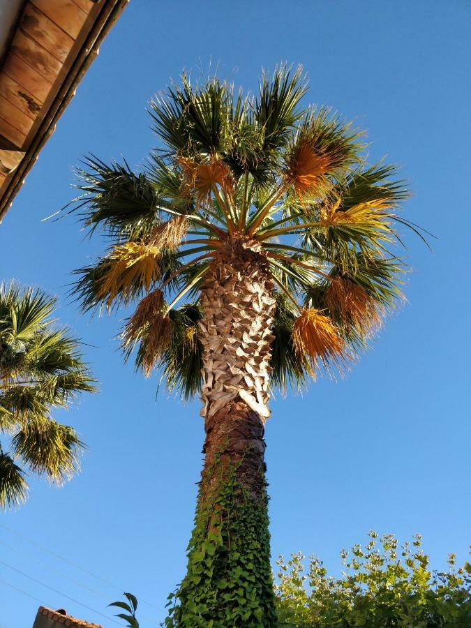 La Palmeraie Marseille Ngoại thất bức ảnh