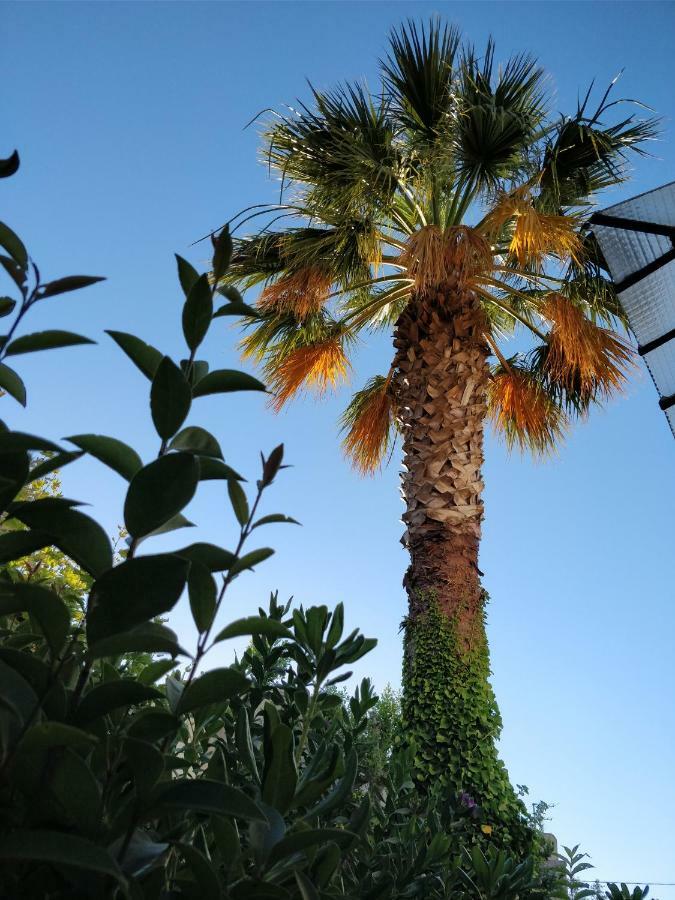 La Palmeraie Marseille Ngoại thất bức ảnh