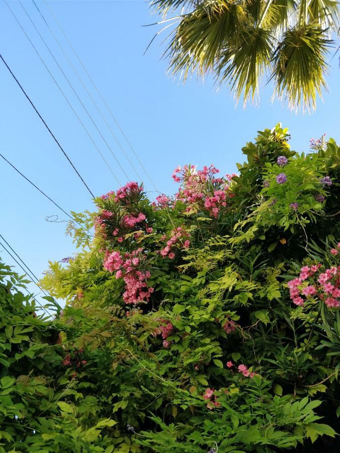 La Palmeraie Marseille Ngoại thất bức ảnh